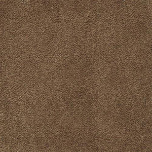 Flax