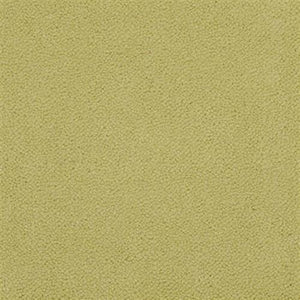 Pistachio