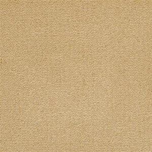 Cornsilk