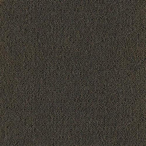 Prairie