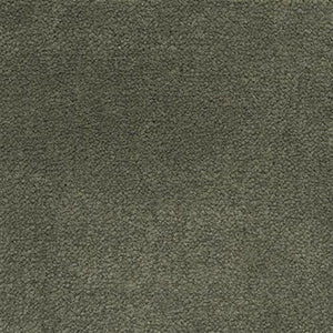 Eucalyptus