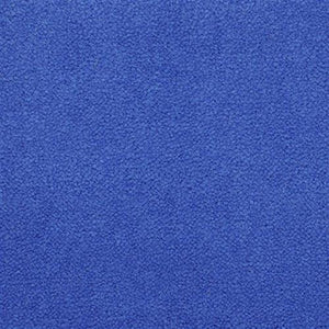 Electric Blue