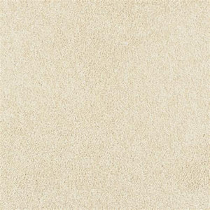 Soft Chamois