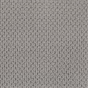 Dolphin Grey
