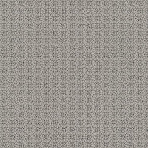 Dolphin Grey
