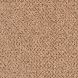 Terra Cotta