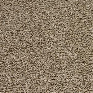 Paw Pathway color
