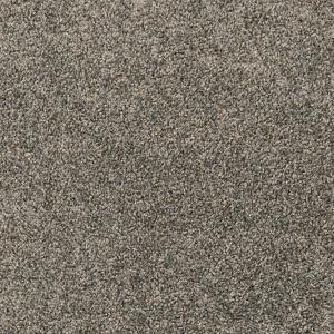 Paw Pathway color
