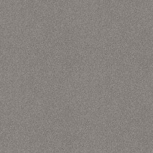 Grey Fox