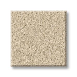 Parmesan