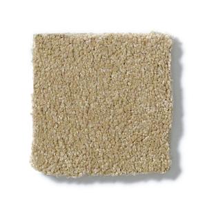 Cardboard