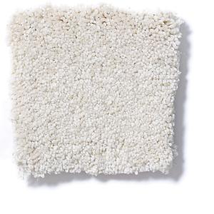 Parmesan