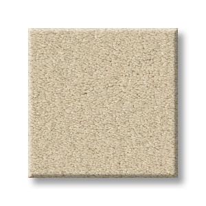 Parmesan