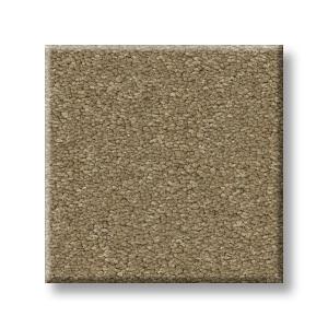 Cardboard