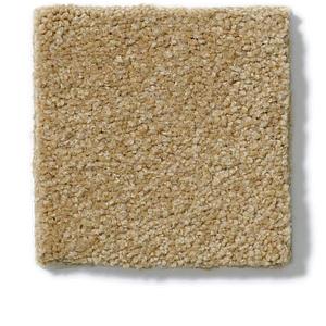 Cork