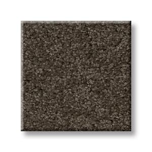 Weathered Wood
