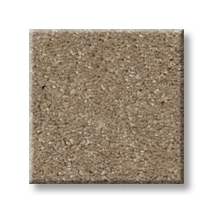 Plaster