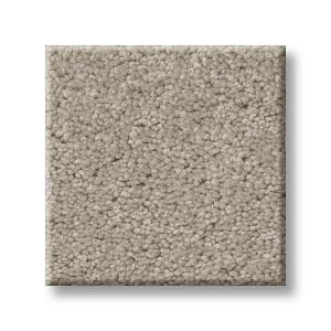 Soft Chamois