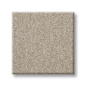 Soft Chamois