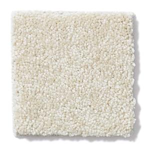 Plaster