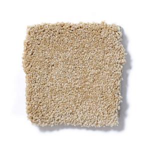 Cornfield