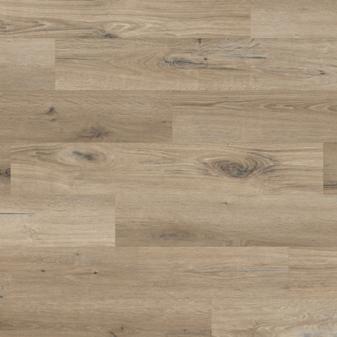 Karndean Knight Tile Gluedown Washed Character Oak