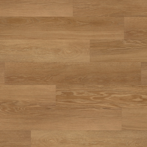 Karndean Knight Tile Gluedown Honey Limed Oak