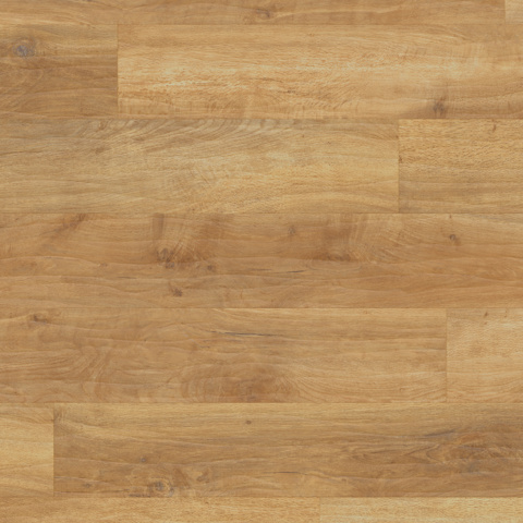 Karndean Art Select Gluedown Spring Oak