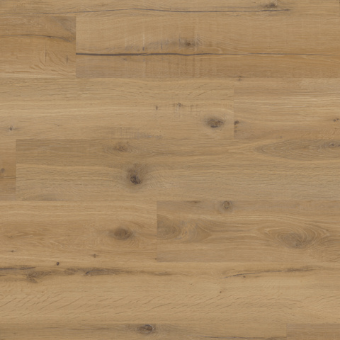 Karndean Van Gogh Gluedown Honey Apres Oak