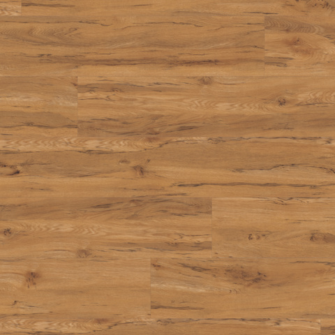 Karndean Van Gogh Gluedown Rimu
