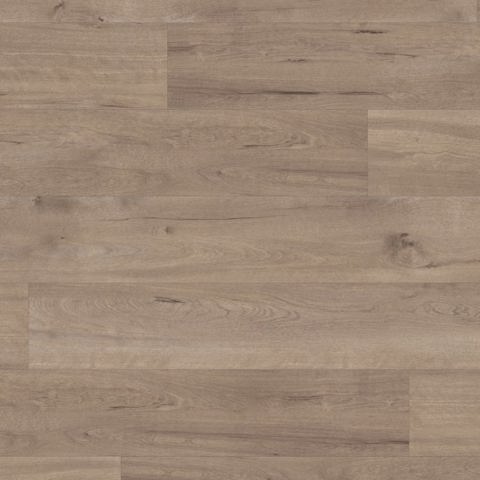 Karndean Van Gogh Gluedown Frosted Birch