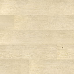 MSI Everlife Prescott Lenexa Creek