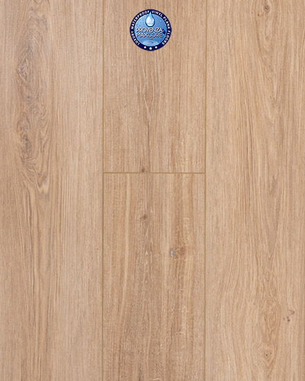 Provenza Moda Living First Glance