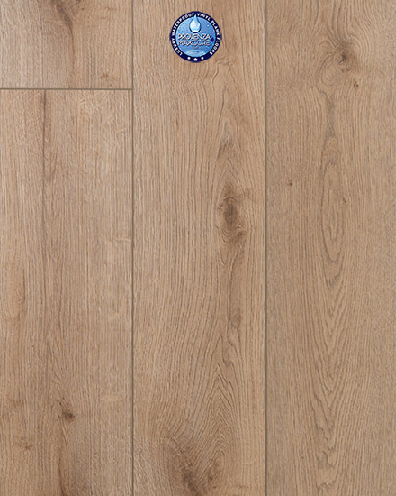 Provenza Concorde Oak Loyal Friend