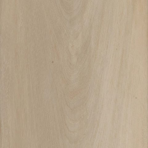 COREtec Originals Premium Cyril Oak