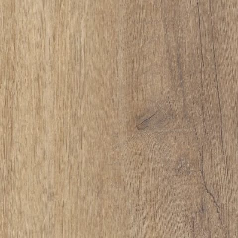 COREtec Pro Premium Bastion Elm