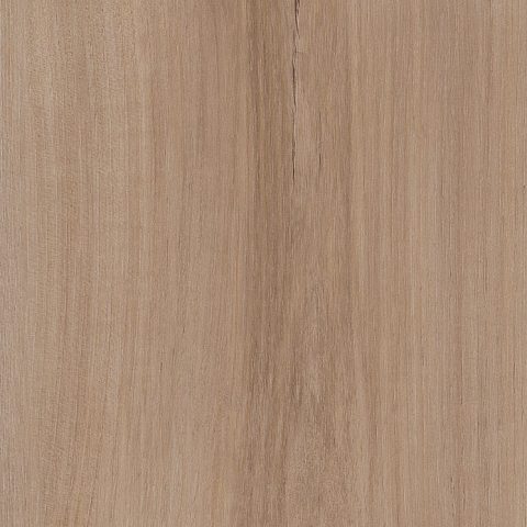 COREtec Pro Enhanced Lucent Oak flooring swatch