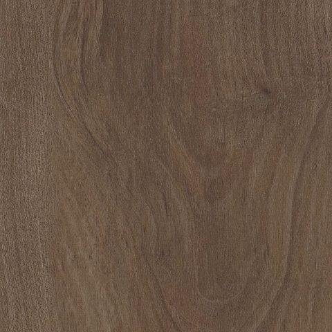 COREtec Pro Premium Stonehaven Maple
